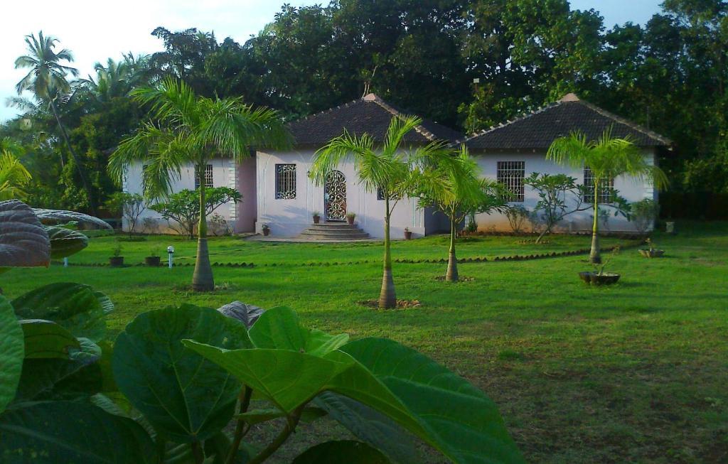 Avalon Inn Mandrem Luaran gambar