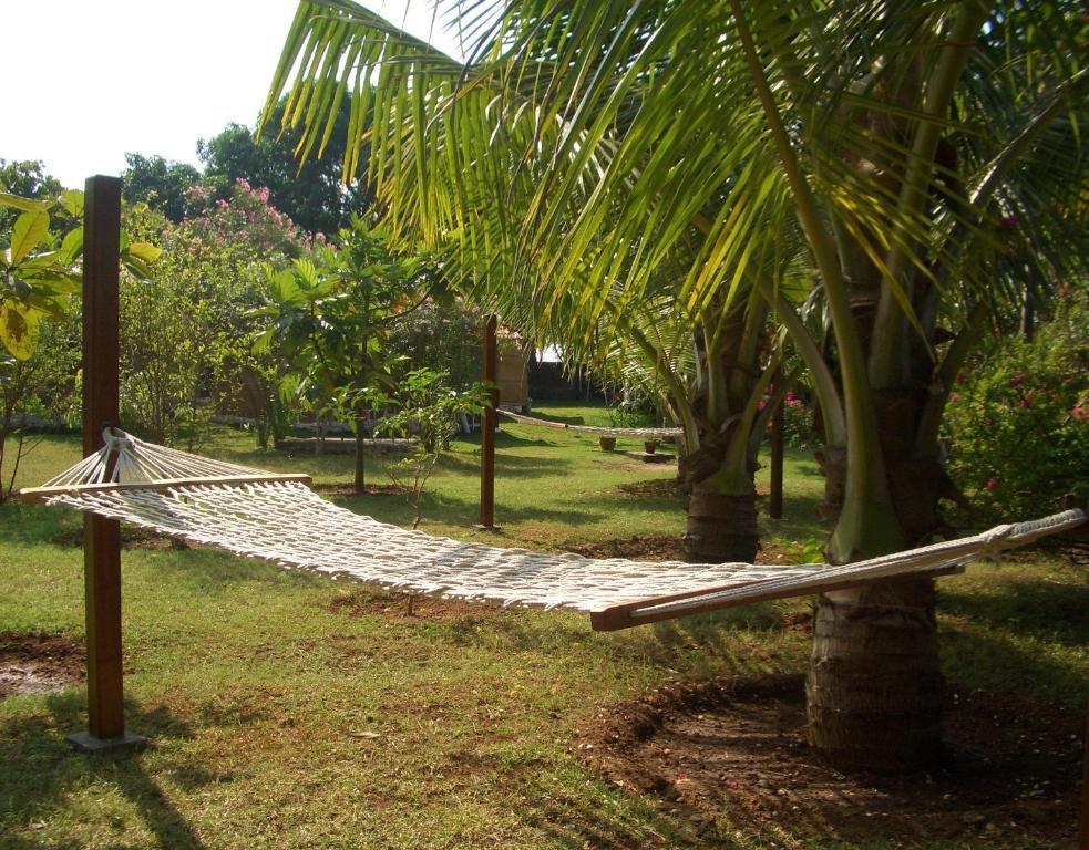 Avalon Inn Mandrem Luaran gambar