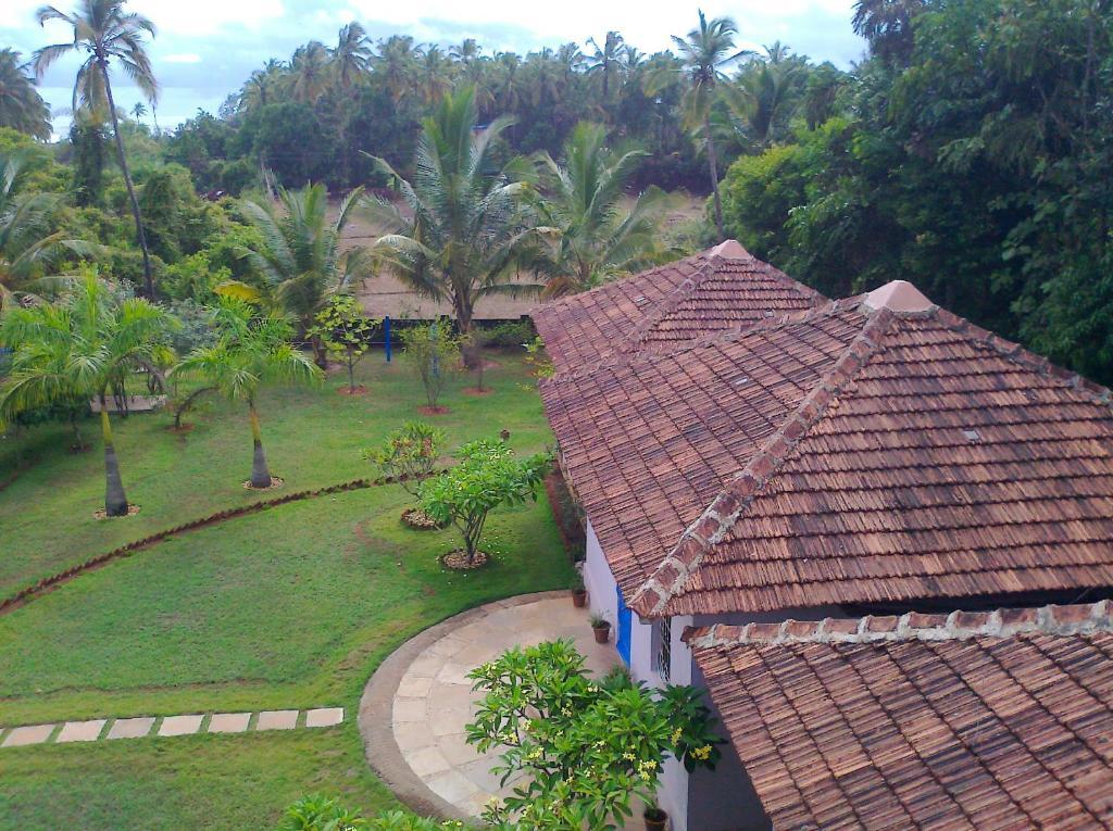 Avalon Inn Mandrem Bilik gambar
