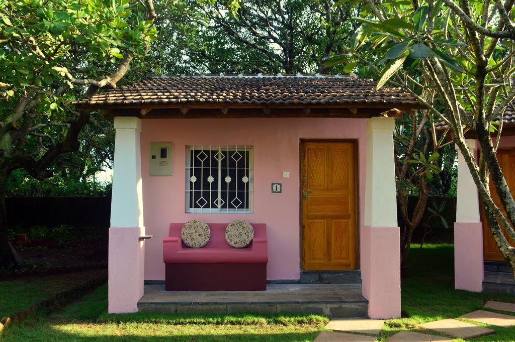 Avalon Inn Mandrem Luaran gambar